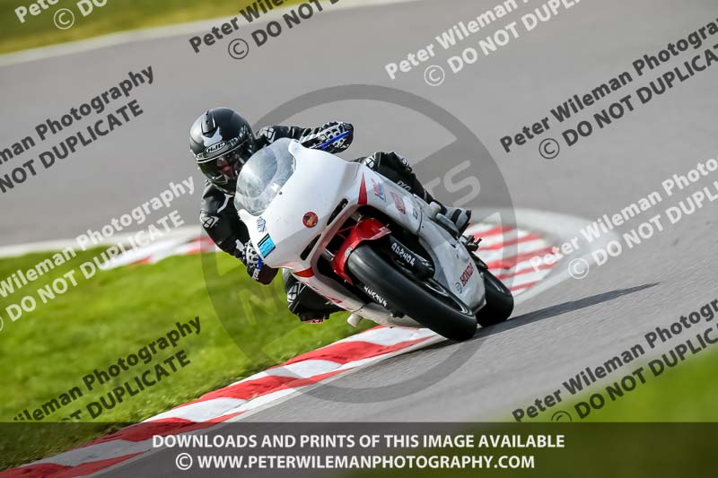 Oulton Park 21st March 2020;PJ Motorsport Photography 2020;anglesey;brands hatch;cadwell park;croft;donington park;enduro digital images;event digital images;eventdigitalimages;mallory;no limits;oulton park;peter wileman photography;racing digital images;silverstone;snetterton;trackday digital images;trackday photos;vmcc banbury run;welsh 2 day enduro